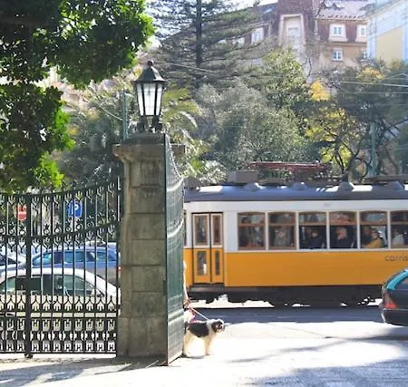Apartamento Bem Localizado Para Familias & Amigos *